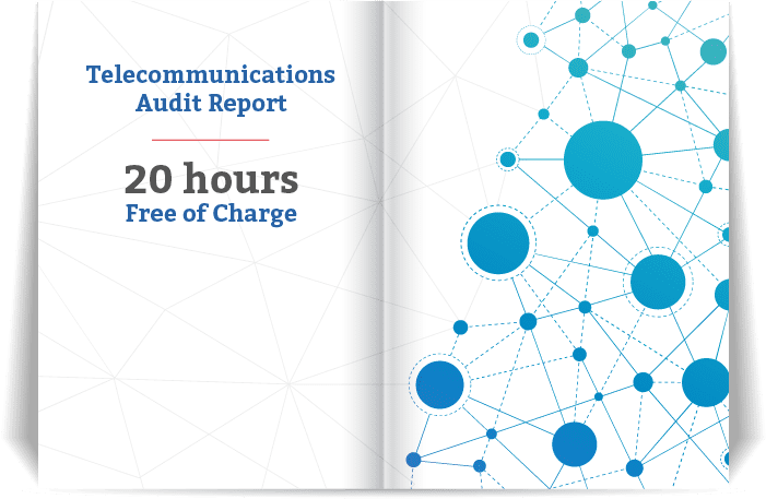 Audit Report 20 Hours Free of Charge