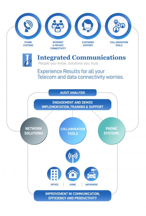 Integrated Audit Infographic